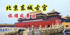 jk美女抠逼自慰中国北京-东城古宫旅游风景区
